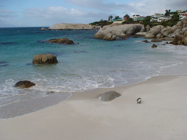 Rightchoice Tours N Travels